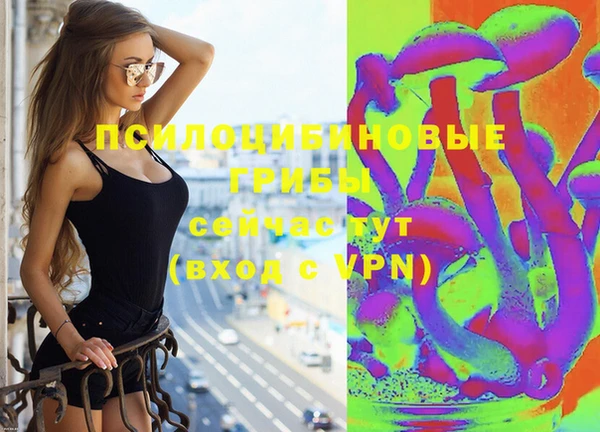 spice Володарск