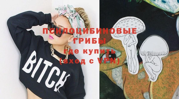 spice Володарск