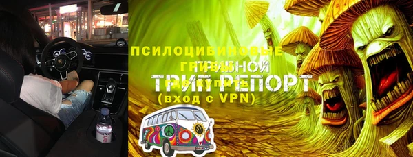 spice Володарск