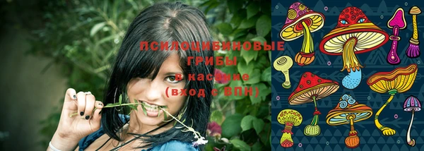 spice Володарск