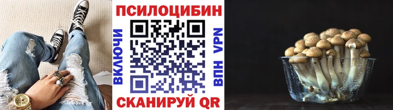 Псилоцибиновые грибы Cubensis  kraken как зайти  Чегем 