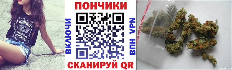 Бошки марихуана план Чегем